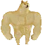 SWOLE logo