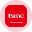 TSMON logo