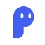 USDP logo