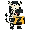 Z logo